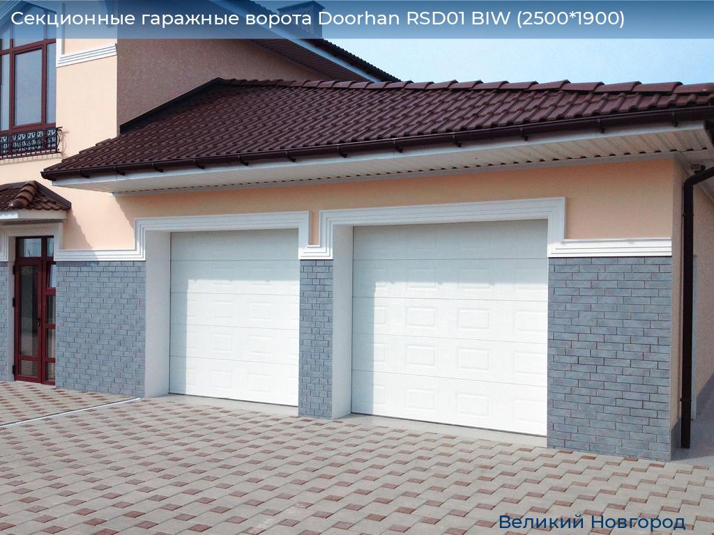 Секционные гаражные ворота Doorhan RSD01 BIW (2500*1900), vnovgorod.doorhan.ru