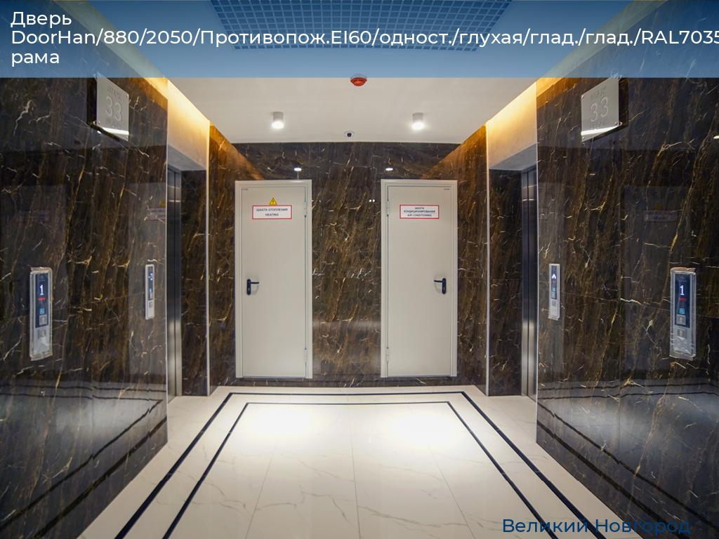 Дверь DoorHan/880/2050/Противопож.EI60/одност./глухая/глад./глад./RAL7035/лев./угл. рама, vnovgorod.doorhan.ru