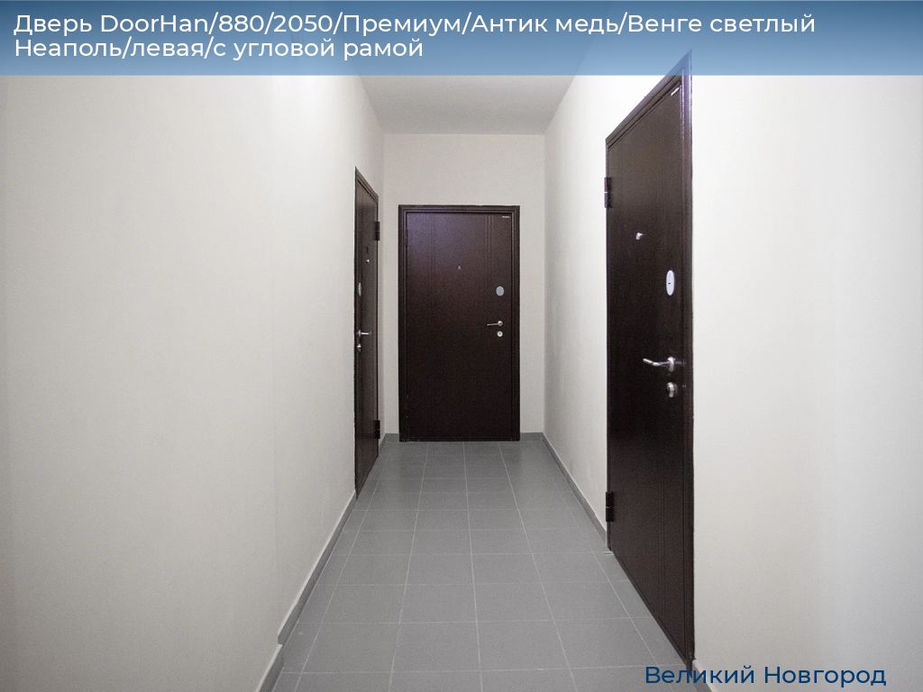 Дверь DoorHan/880/2050/Премиум/Антик медь/Венге светлый Неаполь/левая/с угловой рамой, vnovgorod.doorhan.ru