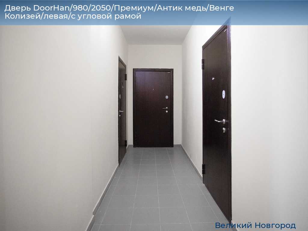 Дверь DoorHan/980/2050/Премиум/Антик медь/Венге Колизей/левая/с угловой рамой, vnovgorod.doorhan.ru